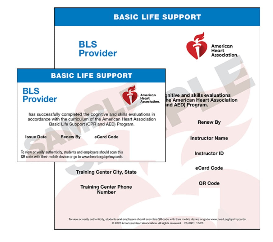 Curso de Certificación de Proveedor BLS (RCP) de la American Heart Association (AHA)